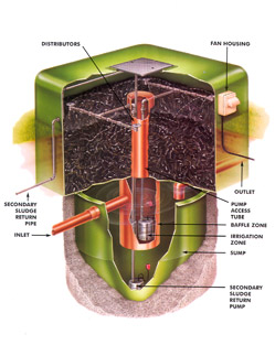 Sewage Treatment Plant